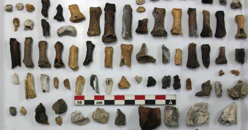 Prática da Cremação na Península Ibérica Recua 1.500 Anos