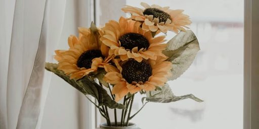 Flores Amarillas: La Tradición Viral que Une a 'Floricienta' con TikTok