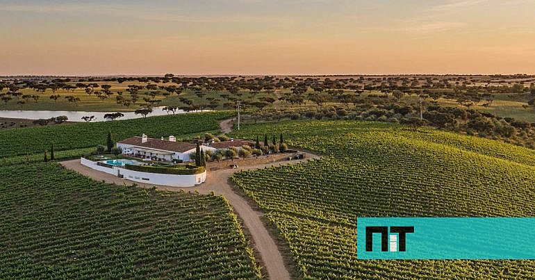 Programas de Vindimas consolidam Portugal como destino de enoturismo