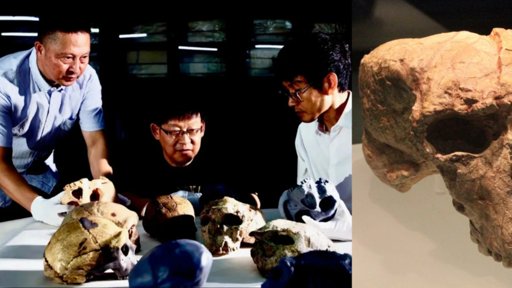 Cráneo de un millón de años hallado en China podría reescribir la evolución humana