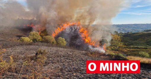 Governo disponibiliza 44 milhões de euros para agricultores afetados por incêndios