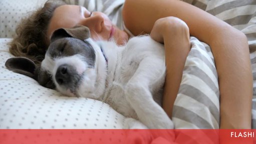 Dormir com Animais de Estimação: Conforto ou Risco para a Saúde?