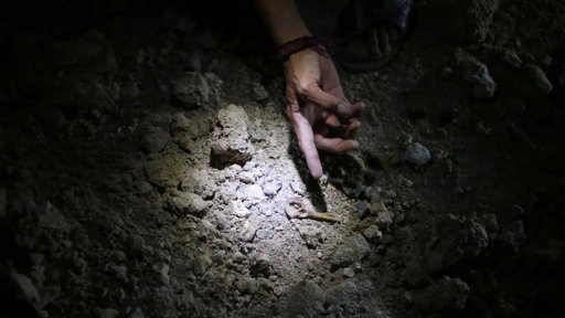 'Autópsia' a Pterossauros Revela Morte por Tempestade