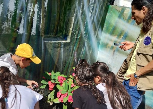 La CARDER lidera diversas estrategias para la protección ambiental en Risaralda