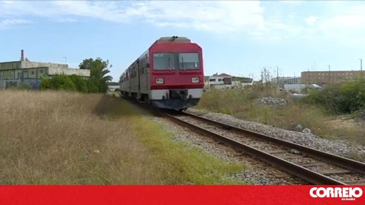 Mulher morre colhida por comboio em Santarém