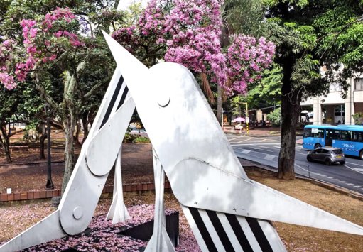 Florecimiento masivo de guayacanes transforma el paisaje urbano de Cali