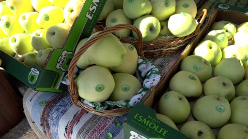 Feira da Maçã Bravo de Esmolfe