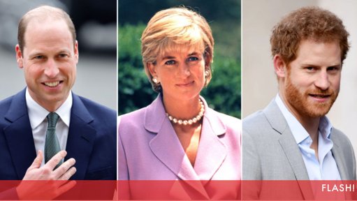 A Rutura Inabalável: William e Harry Divididos pela Memória de Diana