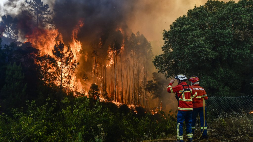 Governo e associações reforçam apoio aos bombeiros e populações afetadas pelos incêndios