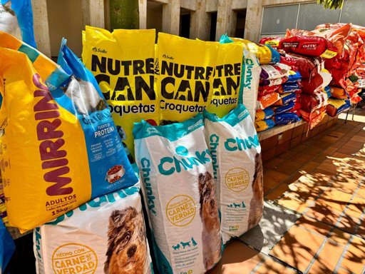 Exitosa donatón recolecta más de dos toneladas de alimento para animales vulnerables