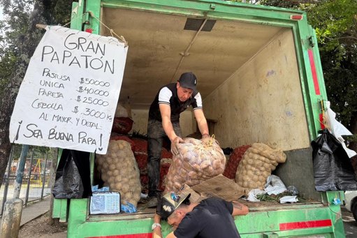 Jornada solidaria 'Papatón' en Bucaramanga logra la venta de 3.150 bultos de papa en apoyo a campesinos