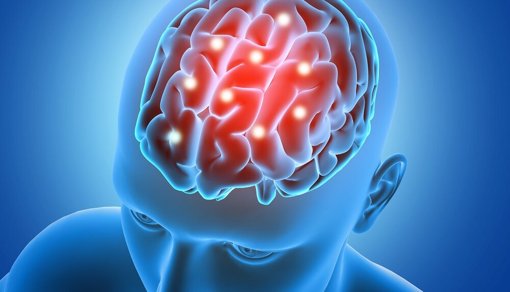 Neurocientistas Mapeiam o Cérebro Durante a Tomada de Decisão