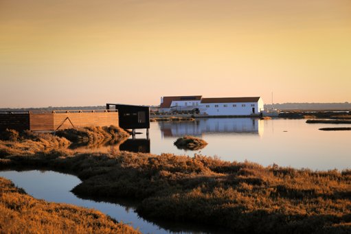 Setúbal celebra Dia Mundial do Turismo com arte, natureza e música