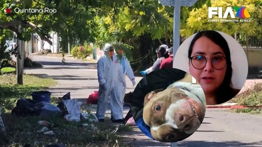 Descubren fraude masivo en crematorio de mascotas “Xibalbá”; entregaban tierra en lugar de cenizas