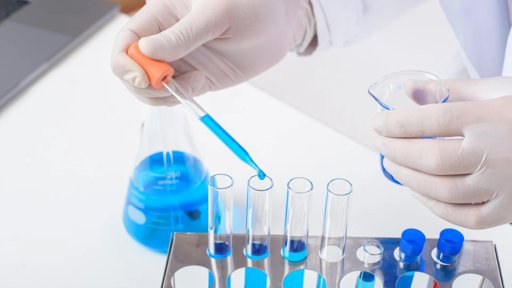 Descoberta em Portugal bactéria que restaura a microbiota intestinal e combate infeções