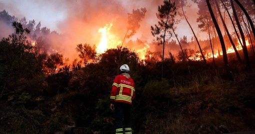 Incêndios Rurais Devastam Portugal com Resposta Governamental Sob Escrutínio