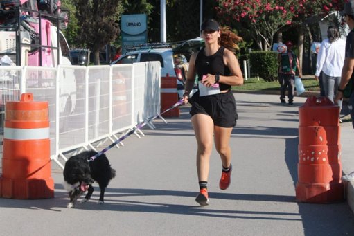 Coahuila Celebra el Bienestar Animal con Exitosas 'Carreras Perronas' en Siete Municipios
