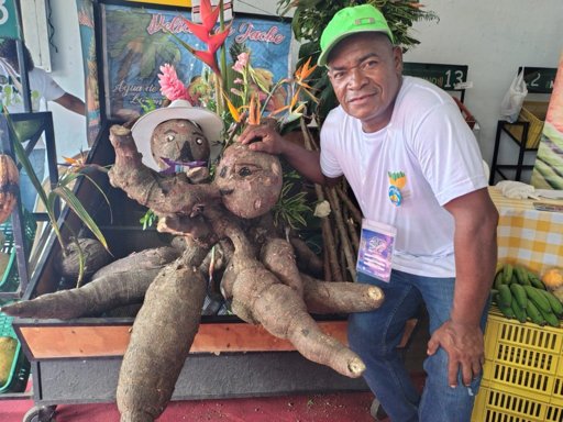 Palmira implementa la "Alianza por la nutrición" para combatir la desnutrición en menores de cinco años