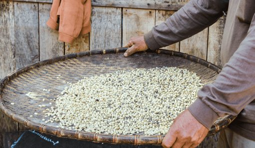 Producción Industrial y Ventas Minoristas en Colombia Aceleran su Crecimiento en Septiembre