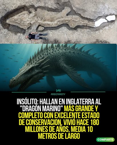 Descubren en Inglaterra el esqueleto de ictiosaurio más grande y completo jamás hallado en el Reino Unido