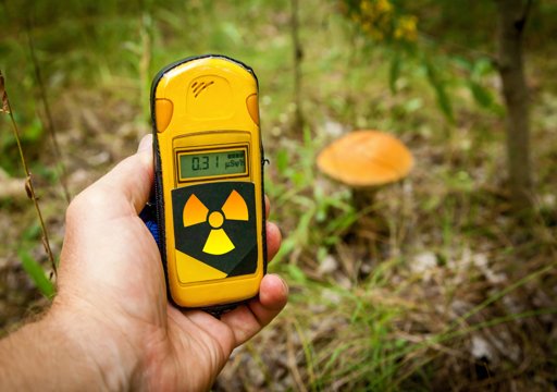 Fungos de Chernobyl Revelam Capacidade de Usar Radiação Como Energia