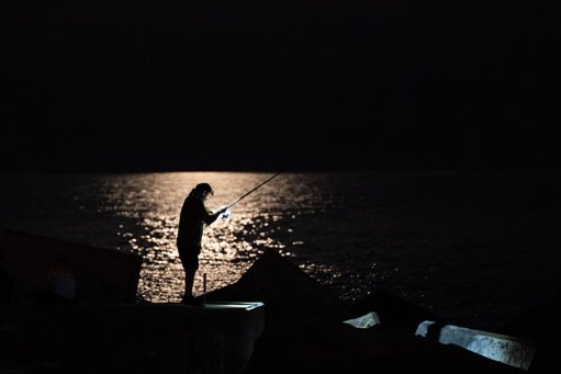 Le braconnage de produits de la mer, un commerce illégal bien implanté à Marseille