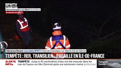 La tempête Goretti perturbe les transports et la vie quotidienne en Île-de-France