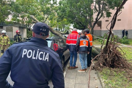 Autarquia de Sintra Garante Apoio a Cidadãos Afetados por Temporal