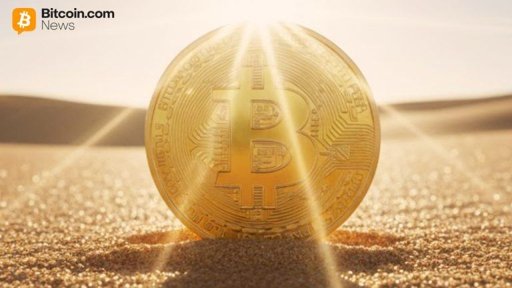 Strategy y Coinbase Refuerzan sus Tesorerías de Bitcoin Pese a la Volatilidad del Mercado