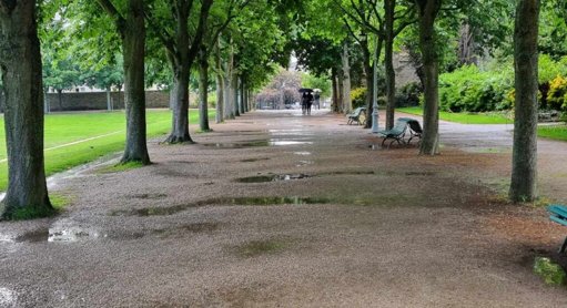 Tempête Benjamin : Rennes ferme ses parcs et cimetières par mesure de sécurité