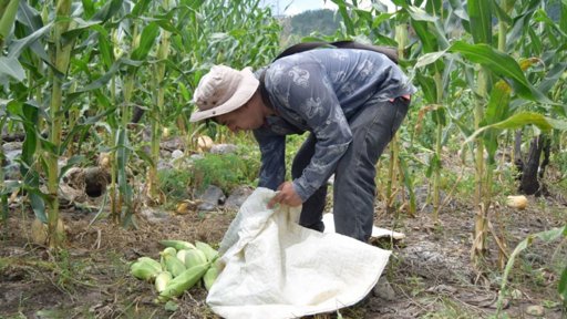 Productores agrícolas realizan paro nacional y bloquean carreteras