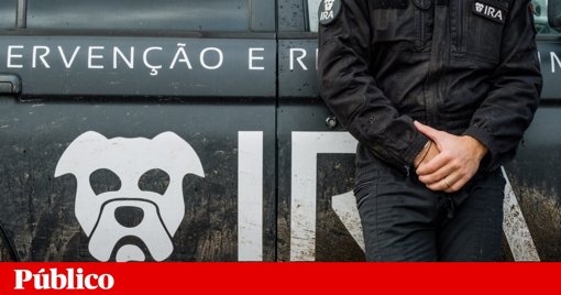 IMT Revoga Autorização de Marcha de Urgência para Grupo de Resgate Animal IRA