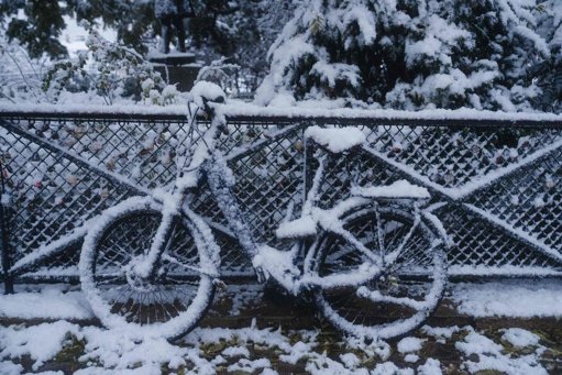 Paris et l'Île-de-France sous la neige : premier épisode hivernal et mesures de précaution