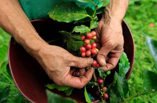 Tensión bilateral: La amenaza de aranceles de EE.

UU. y su impacto en la economía colombiana