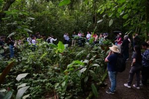 Pereira impulsa iniciativas de urbanismo ecológico y educación ambiental