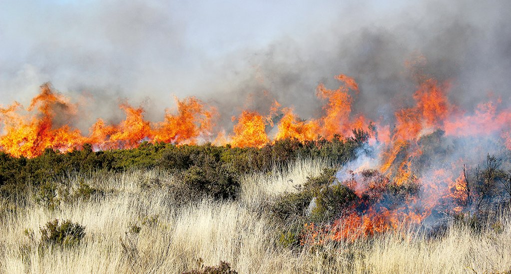 Reativações de incêndios em Vila Real e Ribeira de Pena ameaçam aldeias e condicionam Volta a Portugal