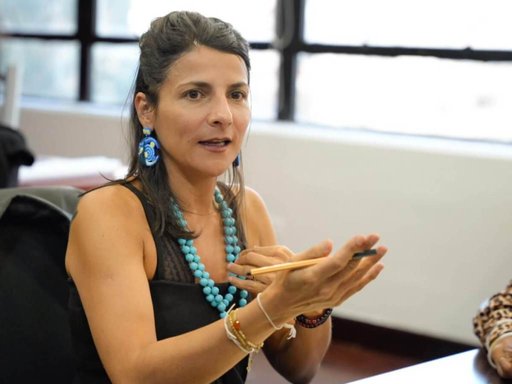 Ministra (e) de Ambiente será citada a control político por resolución sobre la Amazonía