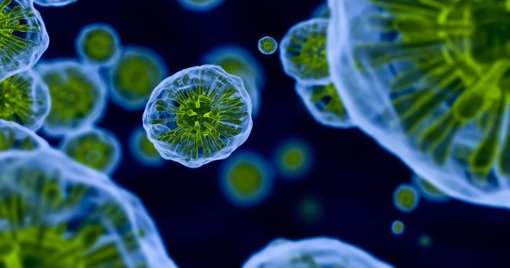 Cientistas Portugueses Desenvolvem Estratégia Inovadora para Bloquear o Vírus da Gripe A