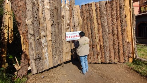 Profepa encabeza megaoperativo nacional contra la tala ilegal en 28 estados