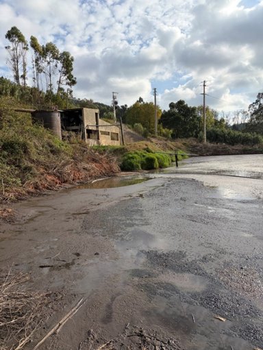 Descarga ilegal de efluentes suinícolas contamina linha de água em Alcobaça