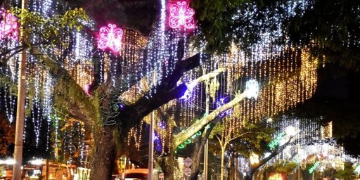 Ibagué se prepara para el encendido del alumbrado navideño 2025