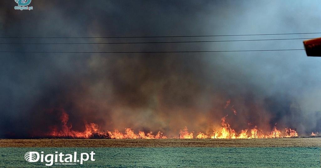 Governo Decreta Situação de Alerta Nacional Devido a Risco Máximo de Incêndio Rural