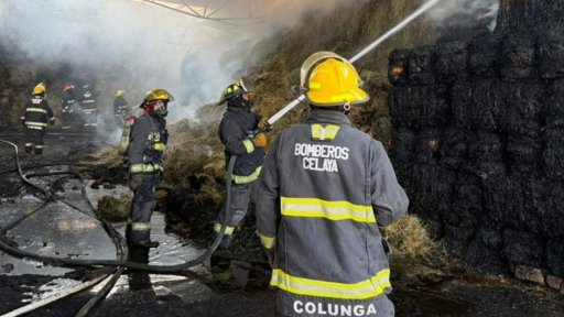 Héroes sin Desfile: Bomberos de Celaya Combaten Incendio por más de 24 Horas