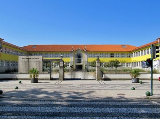 Jovem de Viseu Conquista Medalha de Prata nas Olimpíadas Ibero-Americanas de Biologia