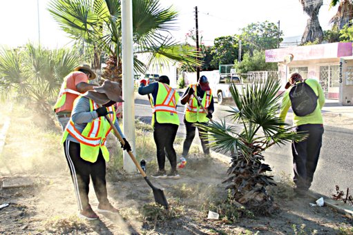 Cuadrillas de empleo temporal limpian más de 100 kilómetros de vialidades en La Paz