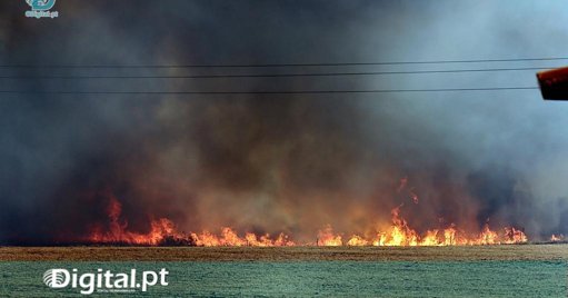 Solidariedade Agrícola Nacional Une Alentejo e Açores ao Norte e Centro do País