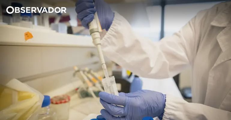 Reforma da FCT Gera Incerteza e Críticas na Comunidade Científica