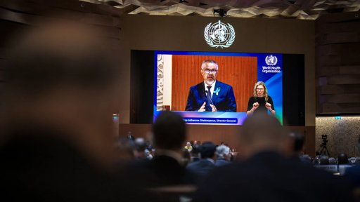 Ofensiva israelita na Cidade de Gaza força evacuação em massa e agrava catástrofe humanitária