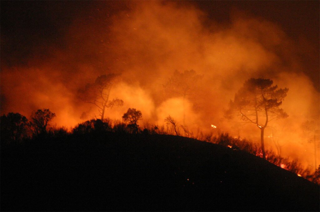 Município de Arouca Apoia Famílias Afetadas por Incêndio na Reposição de Água