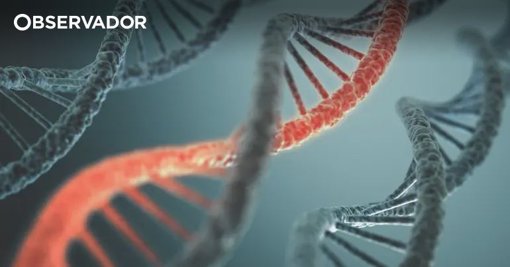 Investigação sobre Doença de Machado-Joseph Recebe Prémio Nacional